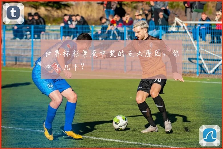 世界杯彩票没中奖的五大原因,你中了几个?
