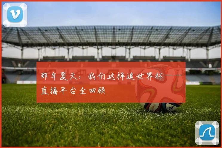 那年夏天，我们这样追世界杯——直播平台全回顾