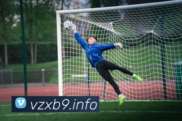 App Interface Preview